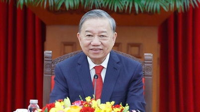 លោក តូ ឡាំ អគ្គលេខាធិការ ទទួលជួបជាមួយបេសកជនពិសេសរបស់អគ្គលេខាធិការ និងជាប្រធានាធិបតីចិន។