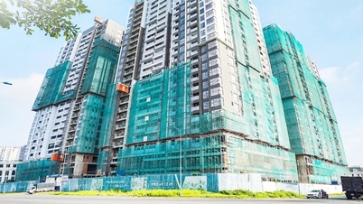 Novaland lãi đột biến hơn 3.600 tỷ đồng quý IV/2025 nhờ hoạt động tài chính