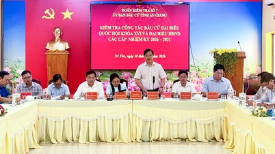 Ủy ban Bầu cử tỉnh An Giang kiểm tra công tác chuẩn bị bầu cử tại đơn vị bầu cử số 11