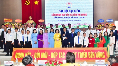 Het eerste congres van afgevaardigden van de provinciale coöperatieve unie van An Giang, periode 2025-2030