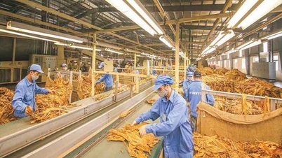 Import tariff quotas for raw tobacco in 2026.