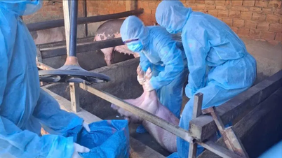 Quang Ngai province requests over 106 billion VND in support to mitigate damage caused by the epidemic.