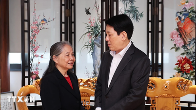 President Luong Cuong visits the families of former leaders.