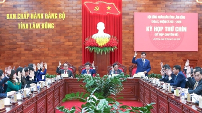 The Lam Dong Provincial People's Council passed several resolutions on social welfare.