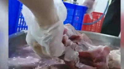 TPHCM dừng mọi bữa ăn bán trú do công ty nghi dùng thịt bẩn cung cấp