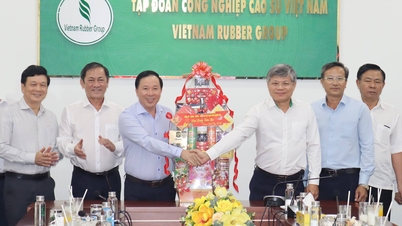 Nguyen Van Ut, a Tartományi Népi Bizottság elnöke látogatást tesz a Vietnami Gumiipari Csoportnál és újévi jókívánságát fejezi ki nekik.