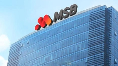 Pada tahun 2025, pertumbuhan kredit MSB diunjurkan mencapai 15.8%, dengan peningkatan ketara dalam nisbah CASA.