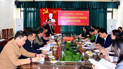 The Central inter-agency inspection team on food safety is working in Tuyen Quang.