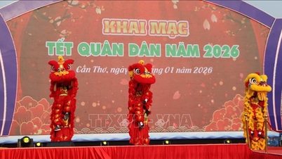 ຄວາມອົບອຸ່ນຂອງການພົບປະສັງສັນໃນບຸນເຕັດ - ລະດູໃບໄມ້ປົ່ງແຫ່ງຄວາມກະຕັນຍູຕໍ່ພັກ