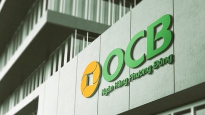 OCB: Przewidywany wzrost zysków w 2025 r. o kilkanaście procent.