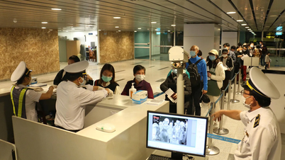 Đà Nẵng siết chặt phòng, chống nguy cơ dịch bệnh do virus Nipah
