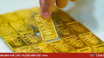 Os preços do ouro continuaram a cair 3,5 milhões de VND por tael.