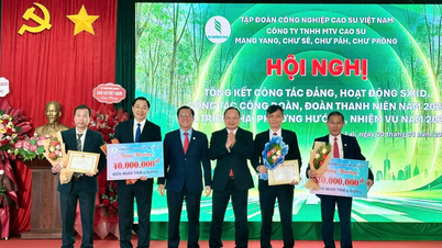 Hasil empat syarikat getah di wilayah Gia Lai diunjurkan mencecah 1,623 bilion VND pada tahun 2025.