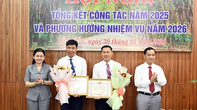 Binh Phuoc Rubber Company Limited resume su trabajo para 2025.