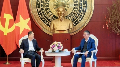 Pham Thanh Binh nagykövet találkozott Yang Wanminggal, a Kínai Népi Barátságért Külföldi Országokkal Egyesület elnökével.