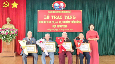 Komite Partai tingkat kelurahan An Phu dan Thong Nhat menganugerahkan Lencana Partai pada gelombang ketiga tahun 2023.