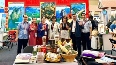 Gia Lai invită ASEAN să participe la Anul Național al Turismului 2026.