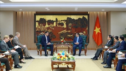 Le Premier ministre a reçu l'ambassadeur de Suède au Vietnam et le PDG du groupe Syre (Suède).