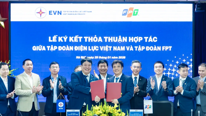 A EVN e a FPT colaboram para promover a transformação digital no setor elétrico.