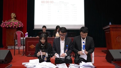Phiên đấu giá quyền sử dụng đất đầu tiên tại xã Quang Minh (Hà Nội)