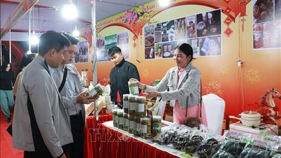 ขอแนะนำผลิตภัณฑ์ OCOP กว่า 500 รายการสำหรับเทศกาลตรุษจีน
