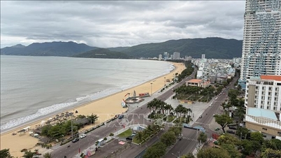 ខេត្ត Quy Nhon ទទួលបានពានរង្វាន់ «ទីក្រុងទេសចរណ៍ស្អាតអាស៊ាន ឆ្នាំ២០២៦»។