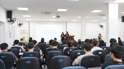 A Da Nang-i diákoknak szóló nemzetközi gyakornoki program összefoglalója.