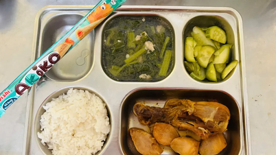 ホーチミン市：学校給食約1万食を供給する施設の検査結果。