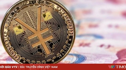 Transformationen av den digitala yuanen