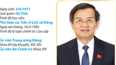 Ahli Politburo, Pengarah Akademi Politik Kebangsaan Ho Chi Minh, Doan Minh Huan