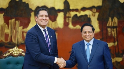 Statsminister Pham Minh Chinh tar emot Sveriges ambassadör i Vietnam och VD:n för SYRE Group.