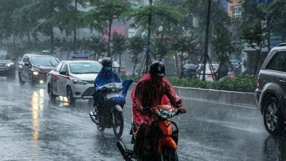 Previsão do tempo para a província de Nghe An, dia e noite de 31 de janeiro de 2026: Tempo frio.