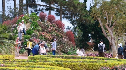 Da Lat menarik wisatawan internasional dengan warisan budayanya yang kaya.
