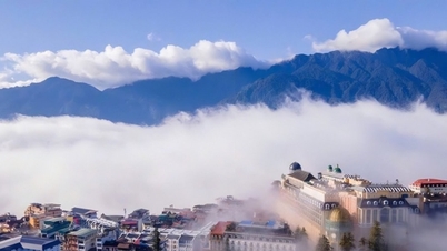 Le nord-ouest du Vietnam est en pleine effervescence avec les préparatifs du Nouvel An lunaire 2026 (Année du Cheval) : Sa Pa regorge de festivals et Mu Cang Chai affiche complet.