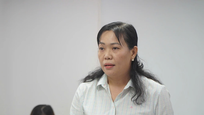 Ba lần kiểm tra công ty nghi dùng thịt bẩn chế biến suất ăn cho học sinh TPHCM không phát hiện vi phạm