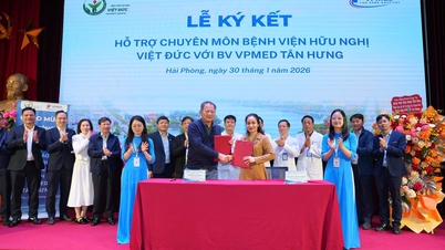 Viet Duc Friendship Hospital overfører avanserte teknikker til VPMED Tan Hung Hospital.