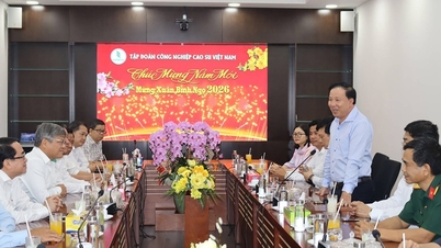 डोंग नाई: प्रांतीय नेताओं ने वियतनाम रबर उद्योग समूह को नव वर्ष की शुभकामनाएं दीं।