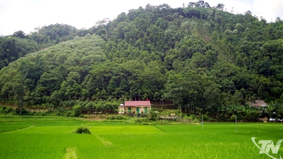 Nghia Ta secara efektif mempromosikan manfaat ekonomi dari sumber daya hutan.