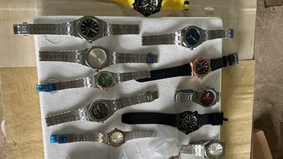 Customs officials intercepted a shipment of counterfeit watches imitating expensive brands.