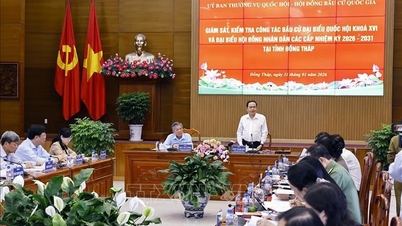 The Speaker of the National Assembly works with the Election Committee of Dong Thap province.