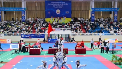 Gần 2.000 võ sinh tham dự Festival Taekwondo Hà Nội mở rộng
