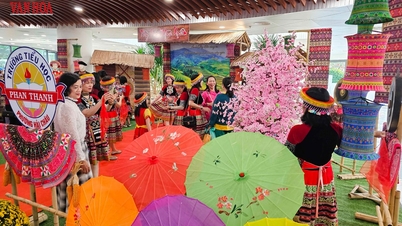 Une ambiance printanière vibrante au festival vietnamien du Têt – Année du Cheval 2026 à Da Nang.