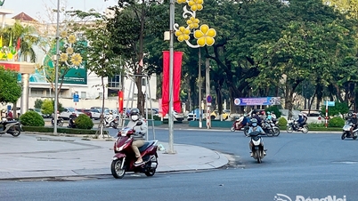 Dong Nai: From January 31st to February 6th, the mornings will be cool, with sunny days.