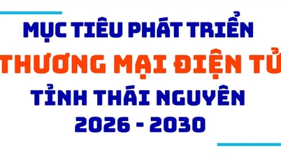 ส่งเสริมการพัฒนาอีคอมเมิร์ซในช่วงปี 2026-2030