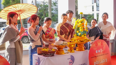 El Tet vietnamita (Año Nuevo Lunar) se convierte en un puente que conecta a estudiantes internacionales.