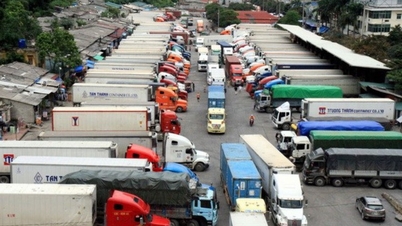 Over 1,300 vehicles carrying agricultural products and food are stuck in traffic; the Customs Department issues an 'urgent' document.