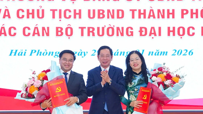 Pan Bui Xuan Hai zastává funkci tajemníka stranického výboru a rektora Univerzity Hai Phong.