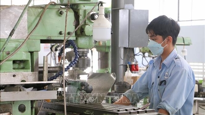 Tháng 1, số doanh nghiệp gia nhập và tái gia nhập thị trường tăng 62%