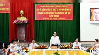Pengerusi Dewan Undangan Negeri, Tran Thanh Man, bekerjasama dengan Jawatankuasa Pilihan Raya Wilayah Vinh Long.