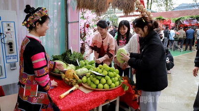 Chương trình "Chợ Tết Đoàn viên" tại Trường Cao đẳng Tuyên Quang